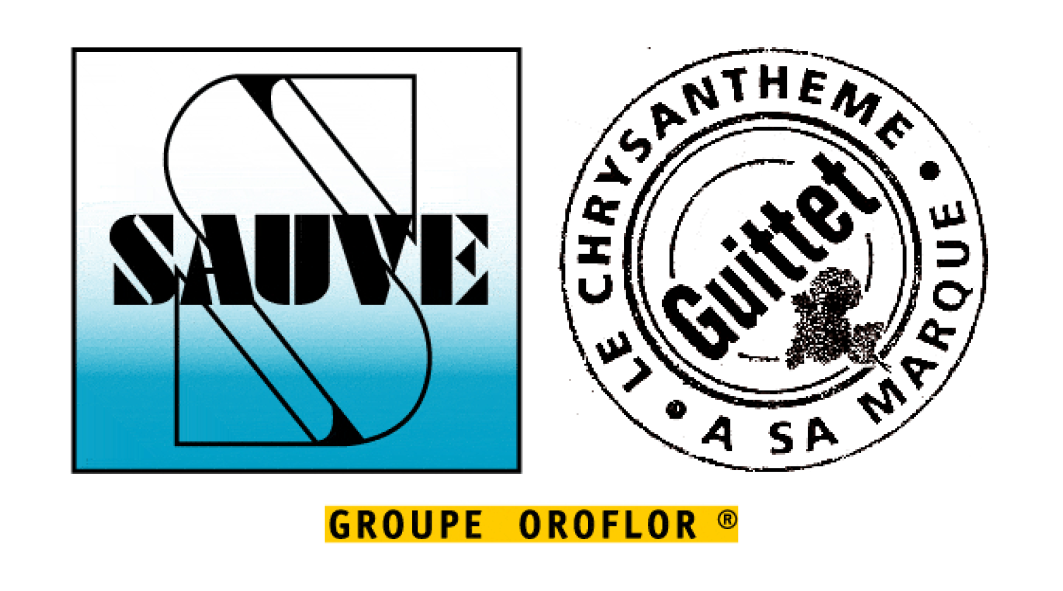 19 SAUV Logo Sauvé Guittet